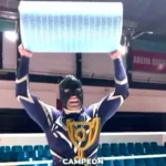 Filtro P191920 Ultra-Web Ignífugo